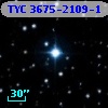 TYC 3675-2109-1