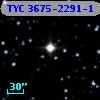 TYC 3675-2291-1