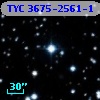 TYC 3675-2561-1