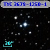 TYC 3678-1250-1