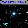 TYC 3678-1288-1