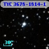 TYC 3678-1814-1