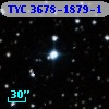 TYC 3678-1879-1
