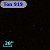 Ton  919