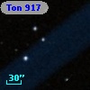 Ton  917