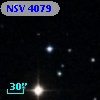 NSV  4079