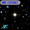 HD 232562