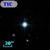TYC  808-13-1