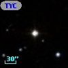 TYC  808-217-1