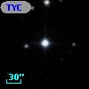TYC  808-1229-1