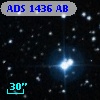 ADS  1436 AB