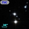 TYC  804-213-1