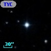 TYC  804-731-1