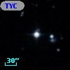 TYC  804-1385-1