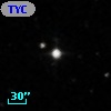 TYC  805-618-1