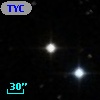 TYC  808-556-1
