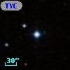 TYC  796-447-1
