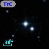 TYC  800-823-1