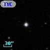 TYC  801-229-1