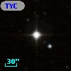 TYC  796-1019-1