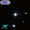 TYC  796-1067-1