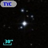 TYC  796-1146-1