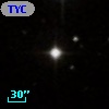 TYC  797-979-1