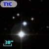 TYC  797-1447-1