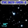 TYC 3671-1428-1