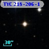 TYC  218-206-1
