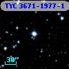TYC 3671-1977-1