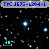 TYC 3675-1284-1