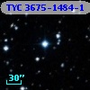 TYC 3675-1484-1