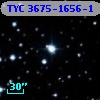 TYC 3675-1656-1