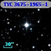 TYC 3675-1965-1