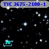 TYC 3675-2100-1
