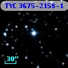 TYC 3675-2158-1