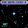 TYC 3675-2175-1