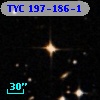 TYC  197-186-1