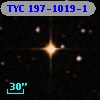 TYC  197-1019-1
