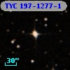 TYC  197-1277-1