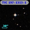 TYC  197-1313-1