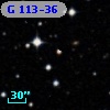 G 113-36
