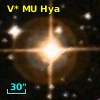 V* MU Hya