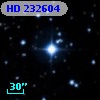 HD 232604