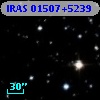 IRAS 01507+5239