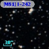 [M81] I-242