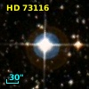 HD  73116