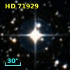 HD  71929