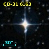 CD-31  6163